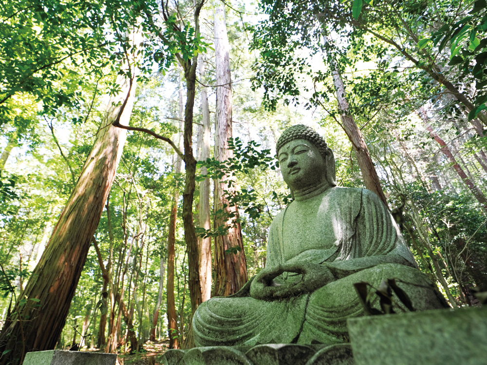 雲辺寺